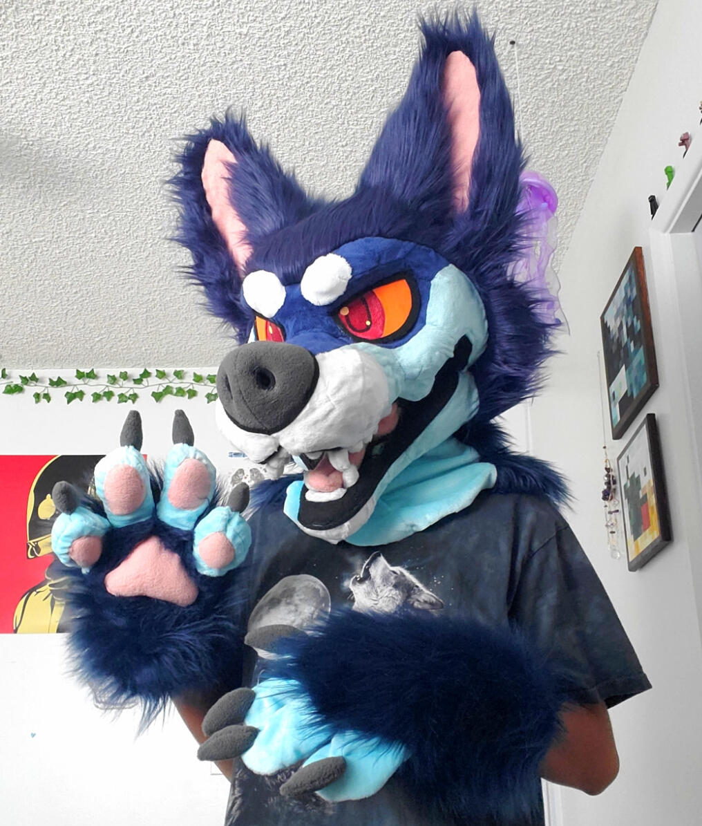 Candy - Head &amp; Paws (July 2023)