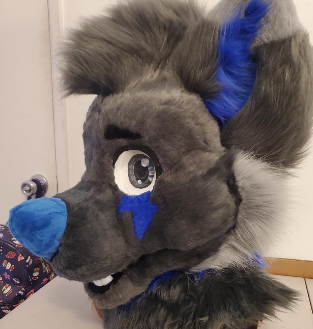 Indigo - Head (Mar 2024)