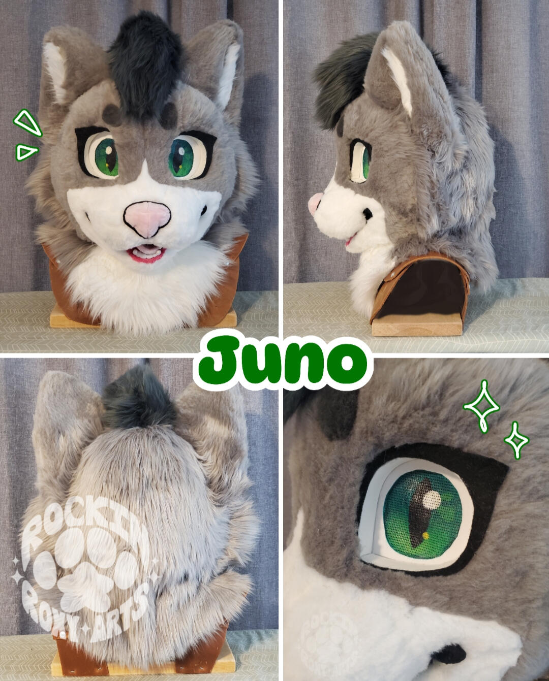 Juno - Head (Sep 2024)