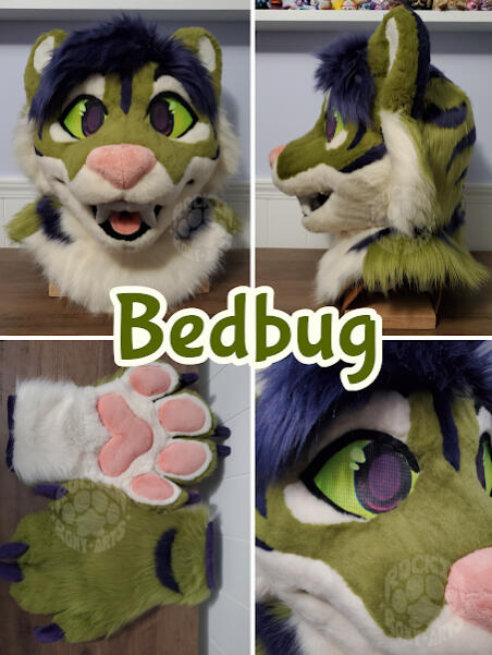 Bedbug - Mini partial (June 2025)